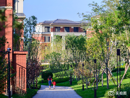 wangzhangengxin-20.jpg